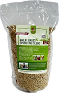 Fodder Seeds for Chickens (3 pounds), Pasture Grass Seed, Wheat Grass Seeds for Growing, Wheat Seeds for Fodder | Pampered Chicken Mama