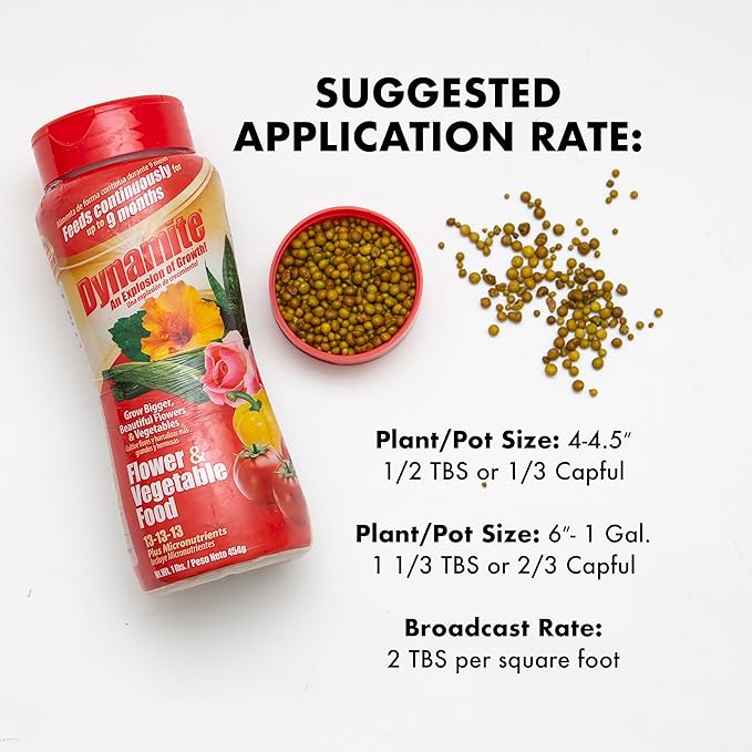 Dynamite Complete Plant Food Flower & Vegetable1 lb (Pack of 4)
