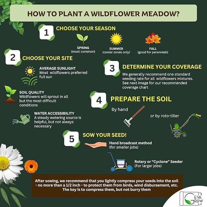 Geva Grow Northwest Wildflower Seeds Regional Mix - Organic, Non-GMO - 100% Pure Seed - 20 Different Wildflowers Seeds of Annual and Perennial, 1 LB Tub