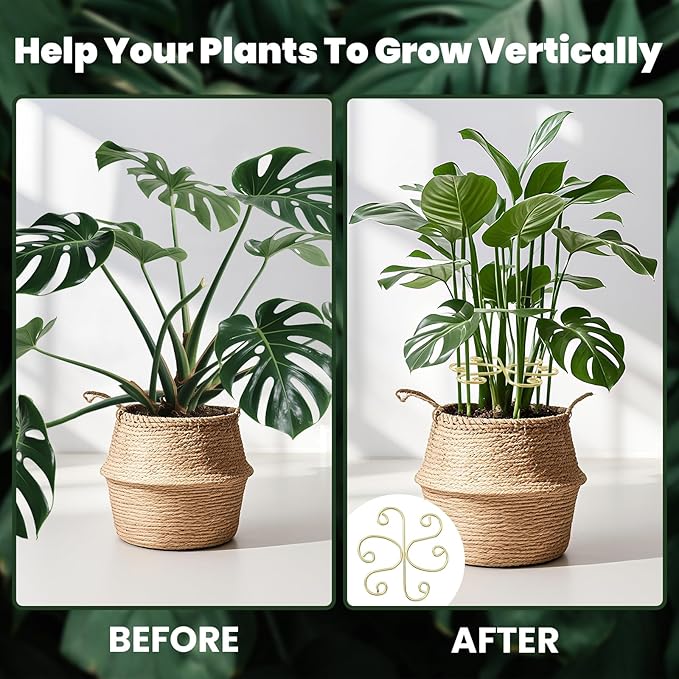 5pcs Plant Stem Support，Metal Shaped Support Frame For Outdoor & Indoor Plant Growth Stereotypes-Small