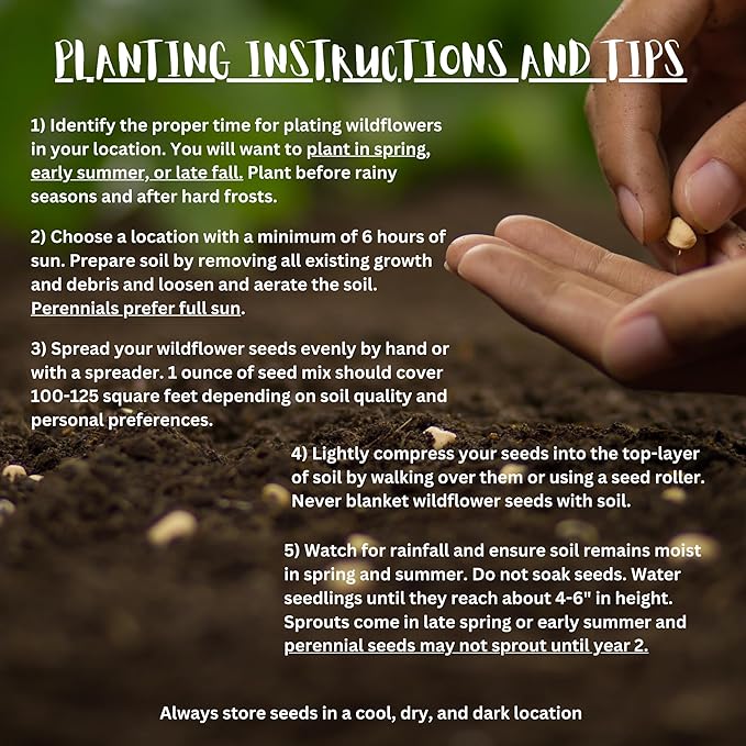 Western Kansas Wildflower Seed Mix, 1 lb Covers 3,200 sq ft, Multi-Color Blooms, Spring and Fall Planting (1 Pound)