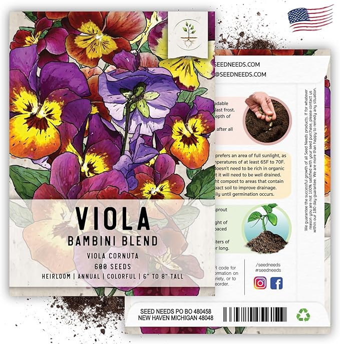 Seed Needs Viola Seeds for Planting Bambini Violas - Heirloom & Open Pollinated Annual Flowers to Plant and Grow an Outdoor Wildflower Butterfly Garden to Attract Pollinators (5 Packs)