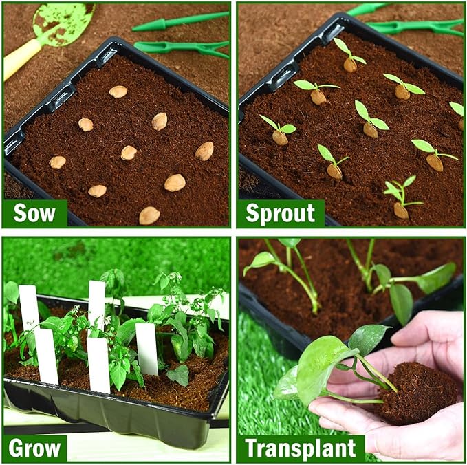 YoleShy 5 Packs Seed Starter Tray with Dome Reusable Plastic Plant Growing Trays with Humidity Domes Thickened Sturdy for Seed Starting Germination Growing Seedling Propagation,14.5"x9"