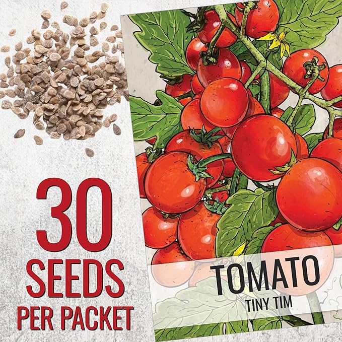 Seed Needs Tiny Tim Tomato Seeds for Planting Dwarf Cherry Tomatoes - Non-GMO Heirloom & Untreated Veggie Seed to Plant a Home Grown Outdoor Vegetable Garden (2 Packs)
