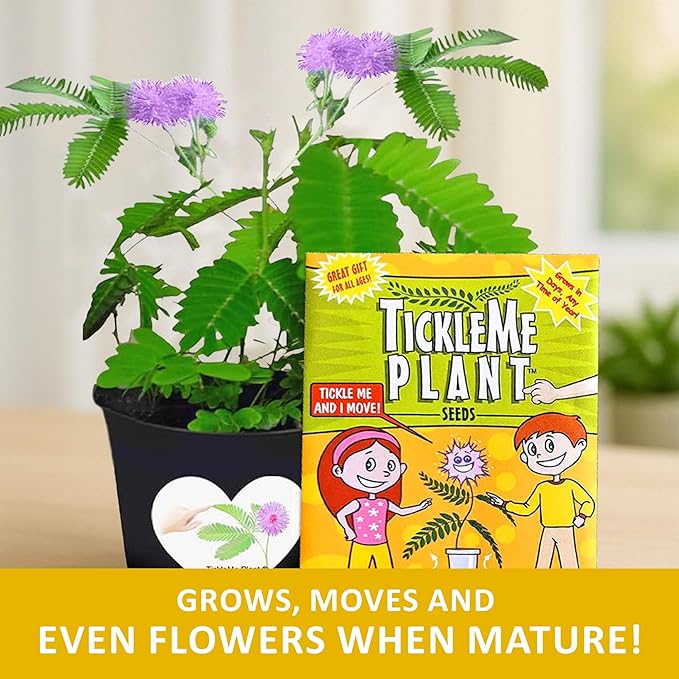 TickleMe Plant Seeds for Indoor Planting (2-Pack) – Unique Stocking Stuffer Idea | Leaves Close When Touched, Reopen in Minutes – Easy Indoor House Plant Seeds, Can Flower, Includes 10 Fun Activities