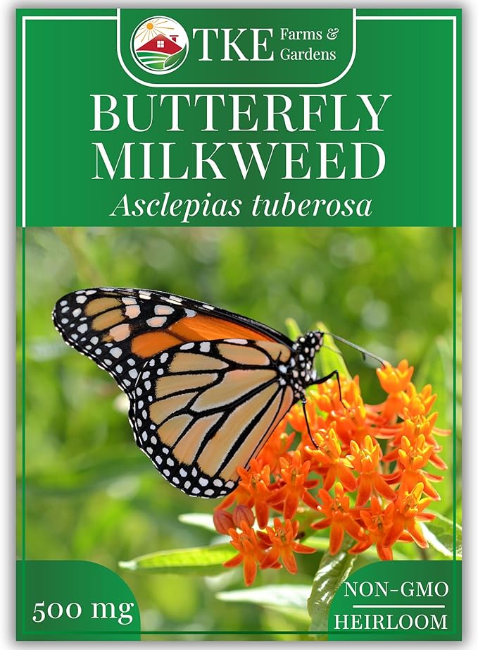 TKE Farms & Gardens - Butterfly Milkweed Seeds for Planting, 100+ Heirloom Non-GMO Seeds, Grow Vibrant Orange Flowers That Attract Monarch Butterflies, Easy Instructions Included, 1 Packet