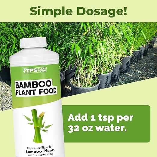 Bamboo Plant Food – Liquid Plant Food for New Shoot Growth, Rich Green Leaves & Strong Root Development, 32 oz