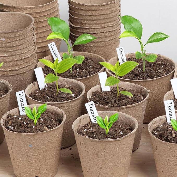 300 Pack Plant Labels, 4 Inch Potted Plant Name Tags Plastic, Seedlings Seed Markers Nursery Plant Stake Tag with Marking Pen for Outdoor Indoor Garden Patio Flower Vegetable, White