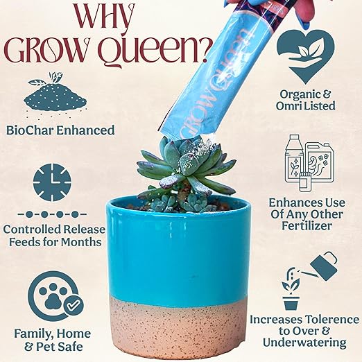 Grow Queen Complete Organic Cactus & Succulent Fertilizer, Succulent Plant Food & Cactus Food, Bonsai, Snake Plant Fertilizer, 7 Servings Fast & Slow Release Feeds up to 28 Plants 8 Months