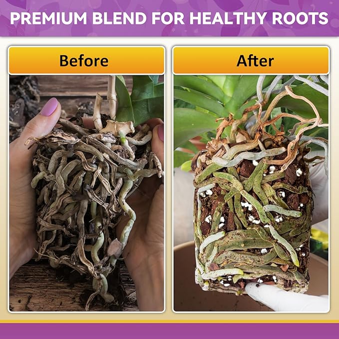 Riare 6QT Orchid Potting Mix, Natural Orchid Bark Potting Mix Soil Medium with Pine Bark and Perlite, Premium Orchid Repotting Kit for Phalaenopsis Dendrobiums, Enhanced Drainage & Root Expansion