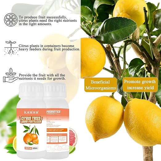 10oz Organic Citrus Tree Fertilizer - Microbial Probiotic Liquid Plant Food for Lemon, Lime, Orange & Olive Trees - Revitalizes Yellow Leaves & Roots