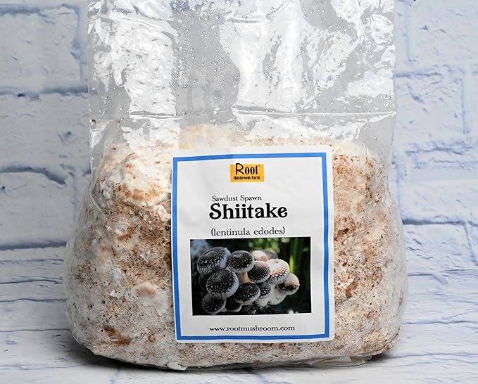 Root Mushroom Farm-Shiitake Mushroom Sawdust Spawn(NOT A GROW KIT)