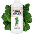 Fiddle Leaf Fig Plant Fertilizer – Liquid Plant Food for Bigger Leaves, Stronger Roots & Healthy New Growth, 32 oz