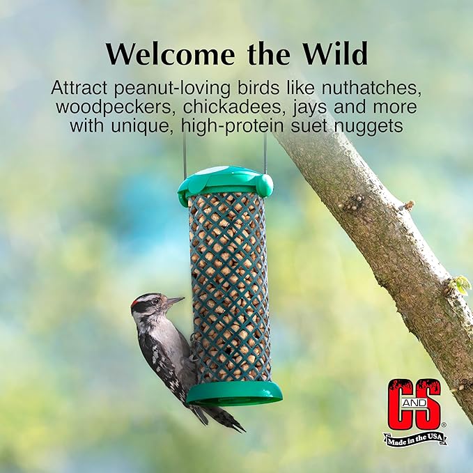 C&S Wild Bird Peanut Suet Nuggets Mega Box, 8 Pounds