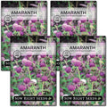 Sow Right Seeds - Tall Mixed Globe Amaranth Seeds for Planting - Non-GMO Heirloom Packet with Instructions to Grow an Outdoor Home Flower Garden - Gomphrena Pompom Flowers in Red, Pink, White (4)