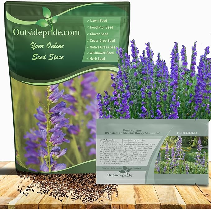 Outsidepride Penstemon Seeds - 5000 Pcs Perennial, Drought-Tolerant & Pollinator Friendly, Strictus Rocky Mountain Wildflower Seeds for Planting with Vibrant Blue-Violet Blooms, Ideal for Xeriscaping