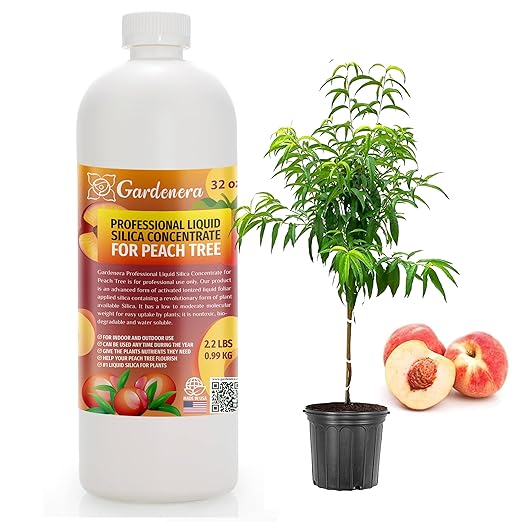 𝐏𝐑𝐎𝐅𝐄𝐒𝐒𝐈𝐎𝐍𝐀𝐋 Liquid Silica Plant Supplement - 32oz - PEACH TREE Plants Liquid Silica Boost Fertilizer - Stronger Stems & Healthy Leaves for Indoor & Outdoor Peach Trees (Makes 180 Gallons)
