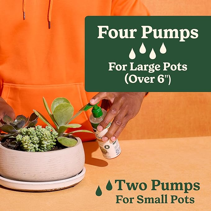 Miracle-Gro Indoor Plant Food for Cactus and Succulent, Liquid Plant Food for Indoor Succulents and Cactus, 8 fl. oz., 2-Pack
