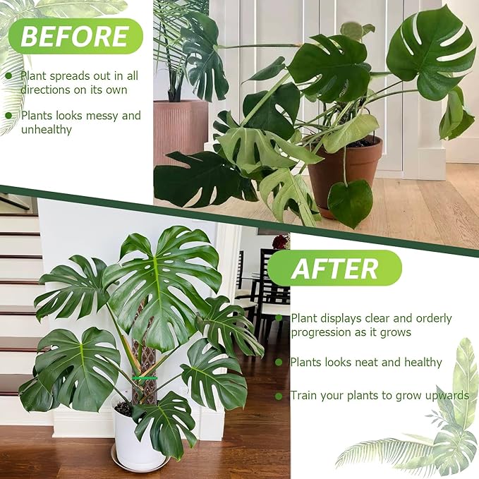 Sisher 2 Pack 16 Inch Plastic Moss Poles for Climbing Plants D Shaped Moss Pole Work with Sphagnum Moss Sticks for Indoor Plants, Moss Pole Monstera Plant Support,with Garden Ties