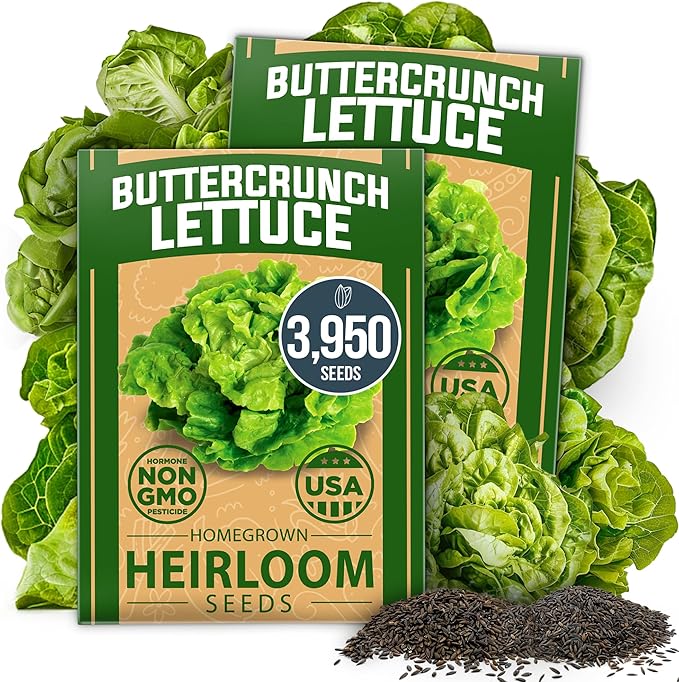 HOME GROWN 𝗨𝗦𝗔 𝗣𝗥𝗘𝗠𝗜𝗨𝗠 Persian Cucumber Seeds 50 & Cherry Belle Radish 800 & Tendersweet Carrots 6000 & Buttercrunch Lettuce 3950