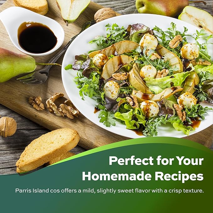 3000 Parris Island Cos Romaine Lettuce Seeds - 4+ Grams - Heirloom Non-GMO USA Grown Premium Vegetable Seeds for Planting - by RDR Seeds