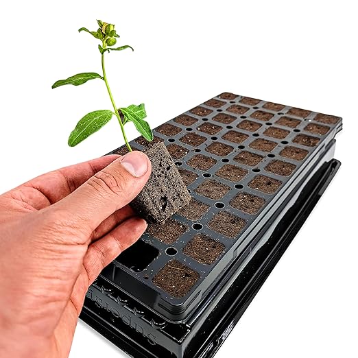 VPS OrganiPlug Hydroponic Seed Starter Plugs, 50 pcs in 1 Prefilled Tray, Rapid Root Planting Pods for Seedling, Clone, Cutting, Promotes Plant, Flower, Vegetable Growth w/Organic Soil Ingredients