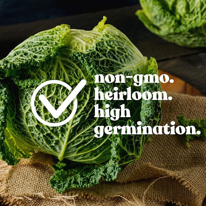Cabbage Seeds - Copenhagen Market - 4 g Packet ~900 Seeds - Non-GMO, Heirloom - Vegetable Gardening, Microgreens