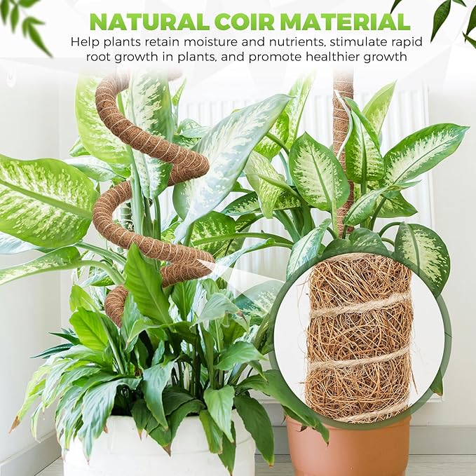 Monstera Plant Support 2 Pack 63 Inch Moss Pole Bendable Monstera Support for Climbing Plants Extra Large Handmade Moss Poles Aluminum Plant Support Stakes Indoor Grow Upwards