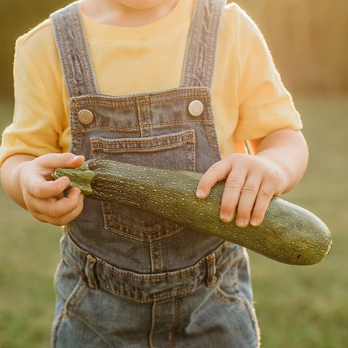 Black Beauty Zucchini - 25 Seeds - Heirloom & Open-Pollinated Variety, Easy-to-Grow, Non-GMO Vegetable Seeds for Planting Outdoors in The Home Garden, Thresh Seed Company