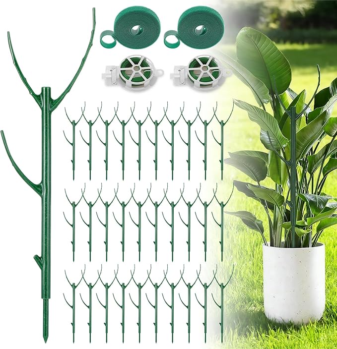 30 Pack Stackable Plant Support Stakes, Climbing Plant Support Structures, Plants Holder Stick for Monstera, Pothos, Philodendron Garden Plant Stakes for Indoor Outdoor Plants