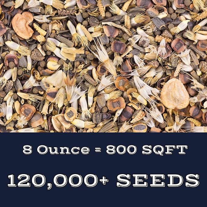 Partial Shade Wildflower Mix (8oz) Sprinkle a Little Magic—Our Shade, Perennial, Hummingbird, Deer-Resistant, and Other mixes Bring Vibrant Color and pollinator Joy to Any Space.