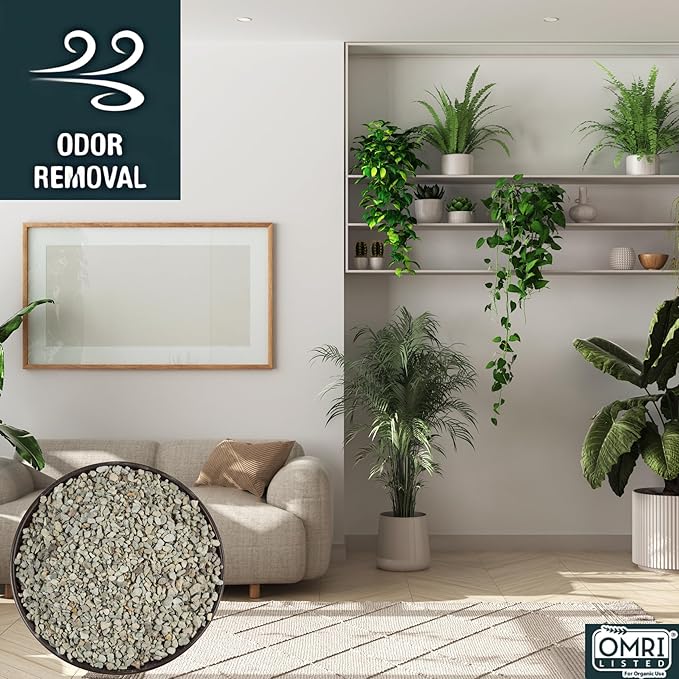 Zeolite Rocks Regular Size 12 Pounds 2 x 6 lb Bags for Succulents Bonsai Trees Odor Control and Soil Drainage