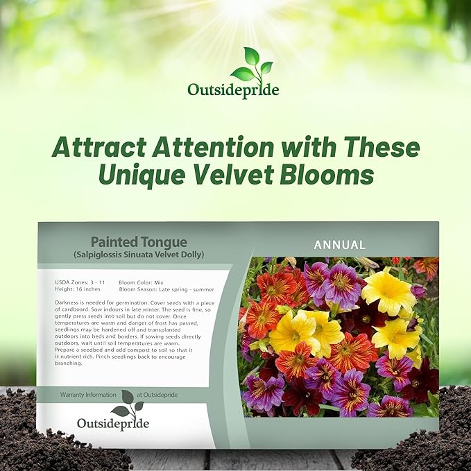 Outsidepride Painted Tongue Salpiglossis Seeds - 10000 Pcs. Annual, Versatile & Pollinator Friendly, Flower Seeds for Planting Vibrant Trumpet-Shaped Mixed Blooms for Garden Beds & Cut Flower Bouquets
