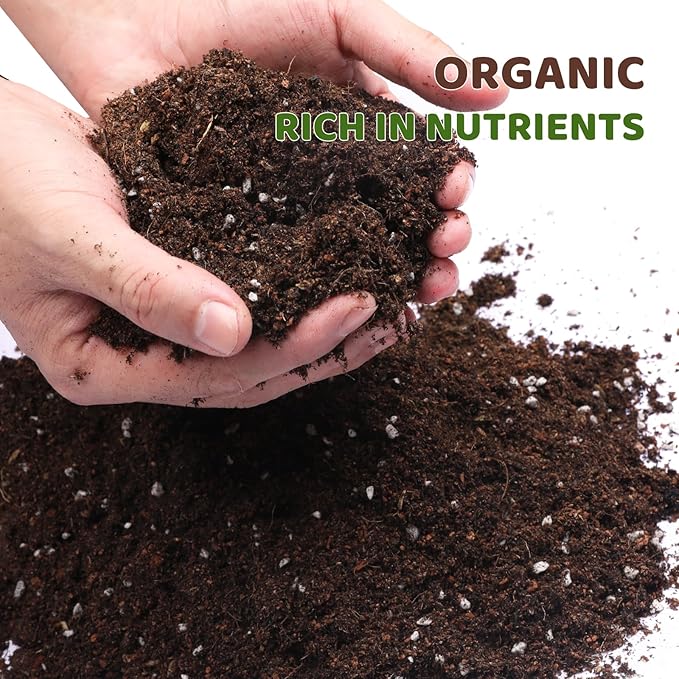 Premium Lucky Bamboo Soil Mix 2qt, Indoor Plants Potting Mix for All Potted Luncky Bamboo, Promote Healthy Growth and Longevity