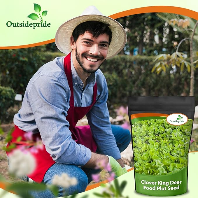 Outsidepride Perennial Clover King Seed Mix - 5 lbs Nitrocoated, Inoculated, Heat & Cold Tolerant, Alfalfa-Enhanced Food Plot Seeds for Deer & Wildlife, Ideal for Spring, Summer, & Winter Food Plots