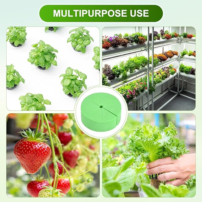 60-Pack Cloning Collars Inserts, Hydroponics Sponge Systems Cloning DIY Foam Cloner Inserts Fits 2" Net Pots for Hydroponic/DIY Cloner/Clone Machines/Plant Germination [Green]