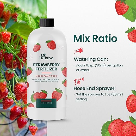 16oz Strawberry Fertilizer - Makes 16 Gallons of Fruit Tree Fertilizer for Strawberries, Liquid Plant Food Outdoor, Ideal Strawberry Plant Food for Lush Growth & Bigger, Sweeter Strawberries