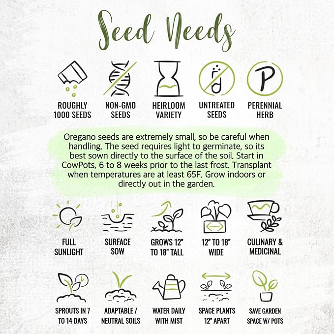 Seed Needs Oregano Seeds for Planting Italian Herbs - Non-GMO Heirloom & Untreated Culinary Herb Seed - Grow Indoors or Outdoors for a Kitchen Garden (2 Packs)
