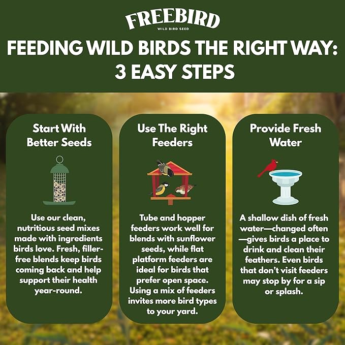 Wild Bird Seed by Freebird – Premium Black Oil Sunflower, Sunflower Kernels & Safflower Blend for Songbirds & Finches, Outdoor Feeders, 6 lb Bag