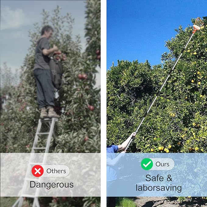 Walensee 13FT Fruit Picker, Adjustable Fruits Picker Tool with Lightweight Stainless Steel Pole and Big Basket, Fruit Catcher Equipment Tree Picker for Apples Mango Pear Orange Avocados Fruit Picking