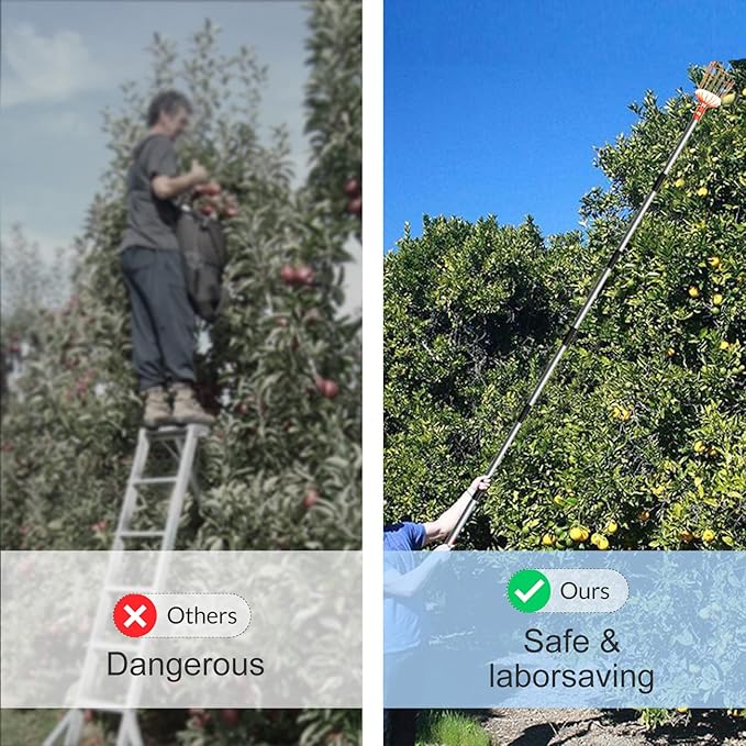 Walensee 5.5FT Fruit Picker, Adjustable Fruits Picker Tool with Lightweight Stainless Steel Pole and Big Basket, Fruit Catcher Equipment Tree Picker for Apples Mango Pear Orange Avocados Fruit Picking