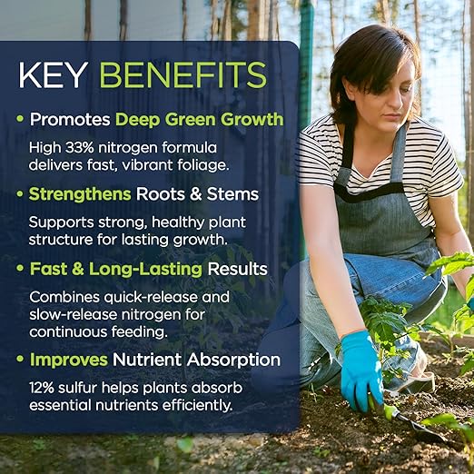 Supply Solutions | 33-0-0 Rapid Green High Nitrogen Fertilizer with Sulfur - Fast-Acting Lawn & Turf Fertilizer for Lush Green Growth - Nitrogen-Rich Plant Food for Grass, Crops & Gardens (10 Pounds)