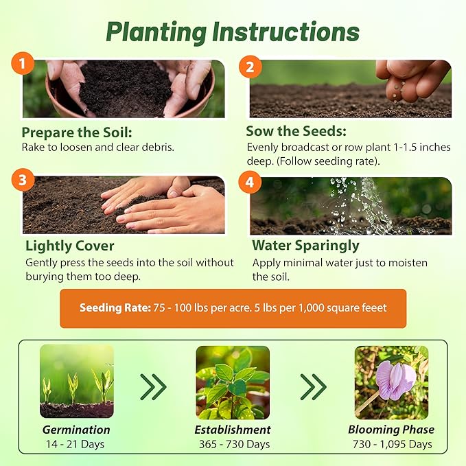 Outsidepride Austrian Winter Peas Seeds for Planting – 1 lbs Bag (Cool-Season Cover Crop, High-Protein Deer Food Plot Seed) Field Peas, Cover Crop Seeds, Spring Mix for Soil Health & Forage