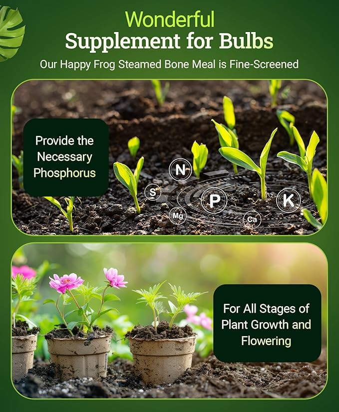 FoxFarm Happy Frog Steamed Bone Meal Fertilizer - Fine-Screened Phosphorus Fertilizer with Calcium & Mycorrhizal Fungi, Supports Strong Cell Development & Abundant Blossoms - 3-12-0, 4 lb