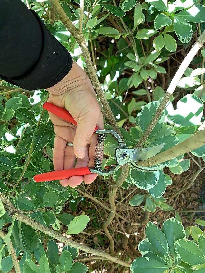 Corona Tools Forged Steel ClassicCUT Bypass Hand Pruner – 1-Inch Cut Capacity Garden Pruning Shears for Stems & Branches, Heavy-Duty Bypass Pruners for Tree, Shrub & Plant Trimming