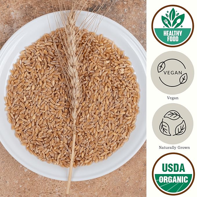 Be Still Farms Organic Hulled Barley Grain (4.8lb) - Whole Barley Groat Seed Bulk - Great for Soup, Flour, Cereal, Home Brewing, Grinding - High in Fiber | USA Grown | USDA Certified | Vegan | Non-GMO