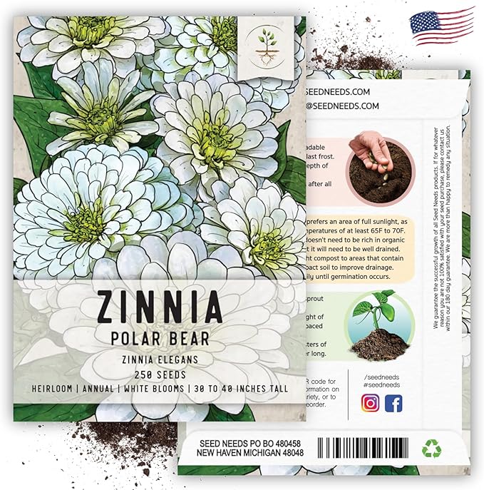 Seed Needs Polar Bear White Zinnia Seeds for Planting - Heirloom & Untreated - Grow a Butterfly Garden to Attract Butterflies, Bees and Pollinators - Great Cut Flowers (2 Packs)