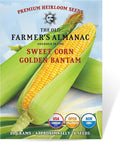 The Old Farmer's Almanac Heirloom Sweet Corn Seeds (Golden Bantam) - Approx 75 Seeds - Non-GMO, Open Pollinated, USA Origin