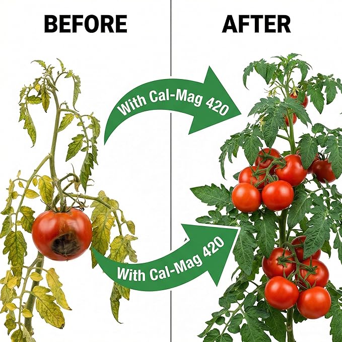 GS Plant Foods Cal-Mag 420 Dry Super Concentrate, Makes 420 Gallons of Nutrient Solution, 18 Ounces, Calcium/Magnesium Fertilizer