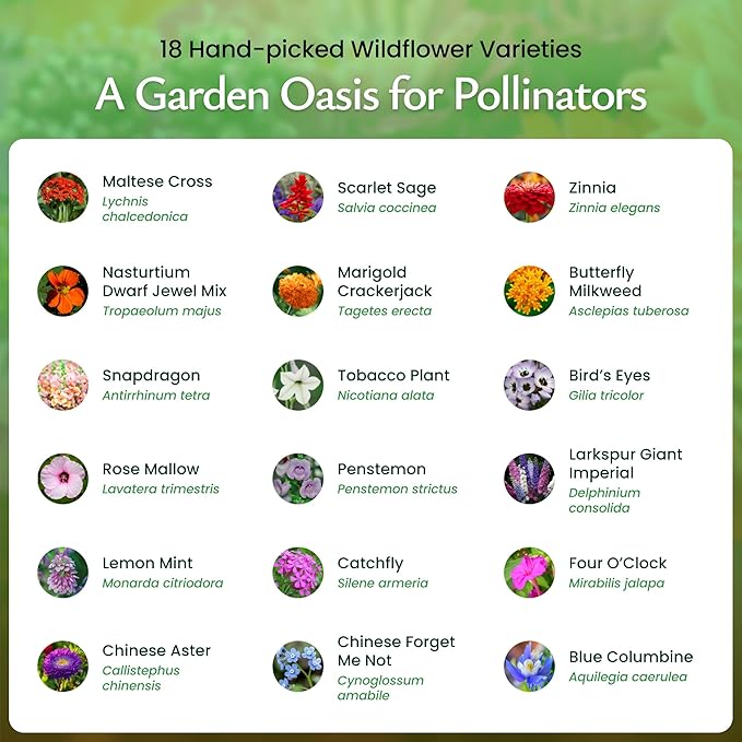 Created By Nature Hummingbird & Butterfly Wildflower Seed Mix, 18 Varieties, 60,000 Wildflower Seeds